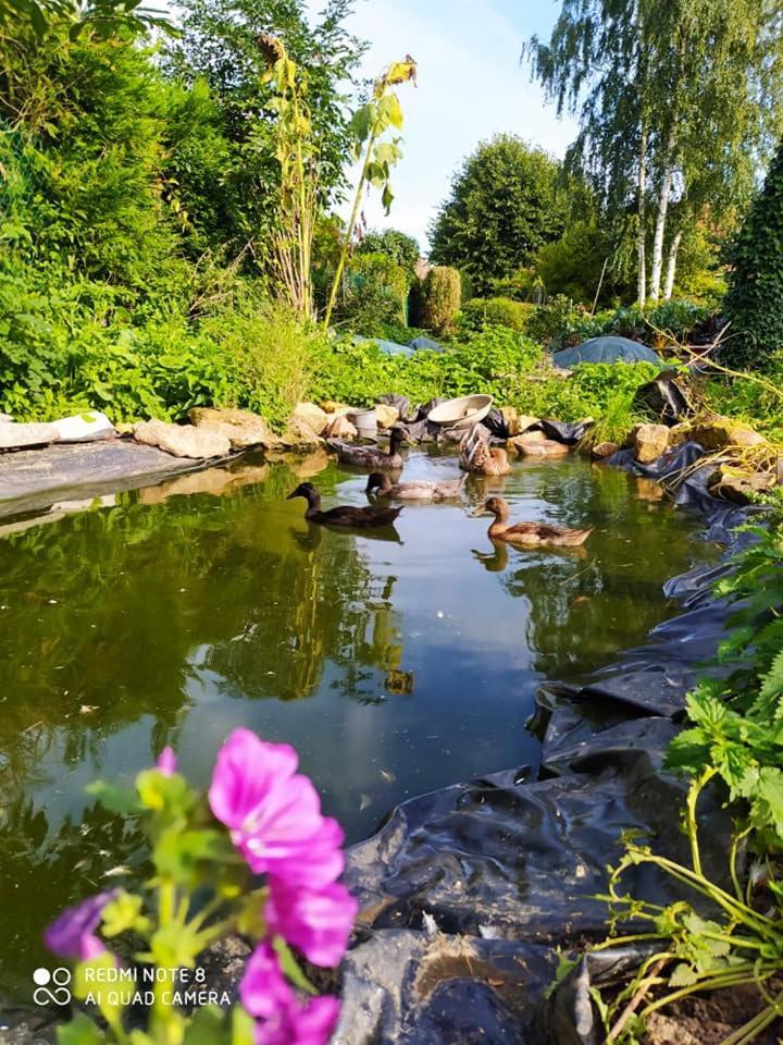 Tente Mongole 4 Saisons Cosy Et Spacieux Conchy-les-Pots Exteriör bild